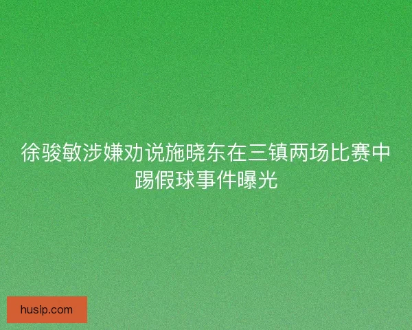 徐骏敏涉嫌劝说施晓东在三镇两场比赛中踢假球事件曝光